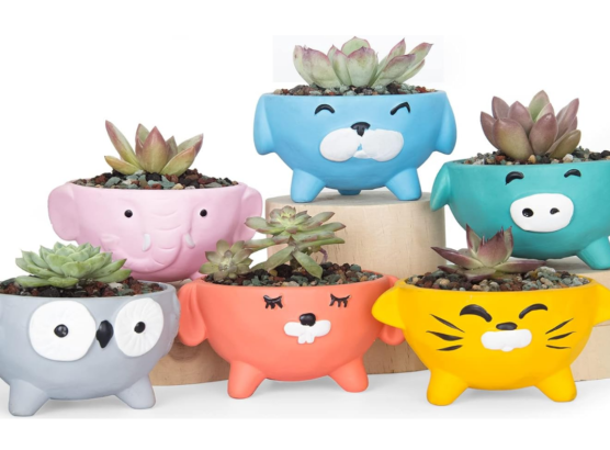 Animal Clay Pot Sculpture Workshop at Art One Academy Markham!